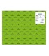 PACK 25 HOJAS CARTULINA IRIS 50X65 185G VERDE BILLAR CANSON C200040238