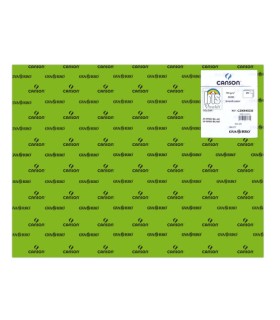 PACK 25 HOJAS CARTULINA IRIS 50X65 185G VERDE BILLAR CANSON C200040238