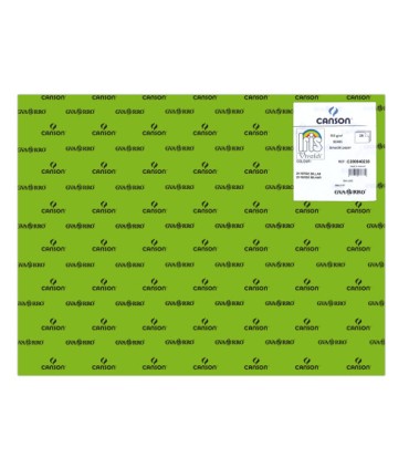 PACK 25 HOJAS CARTULINA IRIS 50X65 185G VERDE BILLAR CANSON C200040238