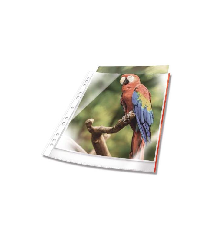 Durable 265503 protector de hojas A4 Polipropileno (PP) 25 pieza(s)