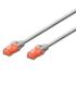 Ewent IM1000 cable de red Gris 0,5 m Cat6 U UTP (UTP)