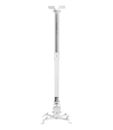 iggual SPTP01 montaje para projector Pared techo Blanco