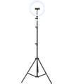 iggual Kit Anillo luz LED 10" + Trípode 200 cm