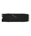 ACER PREDATOR SSD GM-7000 HS 1Tb PCIe NVMe Gen4