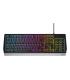 GENESIS RHOD 300 RGB teclado Juego USB Negro