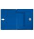 Leitz 46230035 caja archivador 250 hojas Azul Polipropileno (PP)