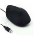 Ewent EW3157 ratón Oficina mano derecha USB tipo A Óptico 1800 DPI