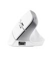 Trust Bayo+ ratón Oficina mano derecha RF Wireless + Bluetooth Óptico 2400 DPI