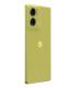Motorola moto g85 5G 16,9 cm (6.67") SIM doble Android 14 USB Tipo C 12 GB 256 GB 5000 mAh Verde