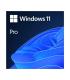 Microsoft Windows 11 Pro 64b  ESD