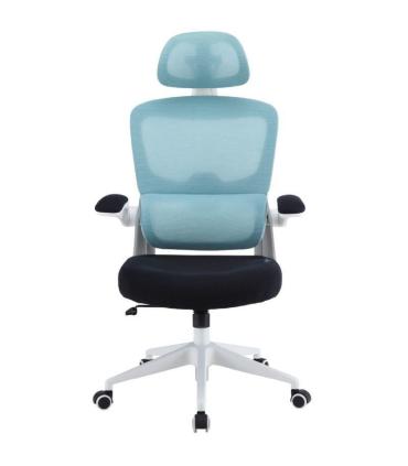 Silla Gaming Woxter Ergo/ Azul