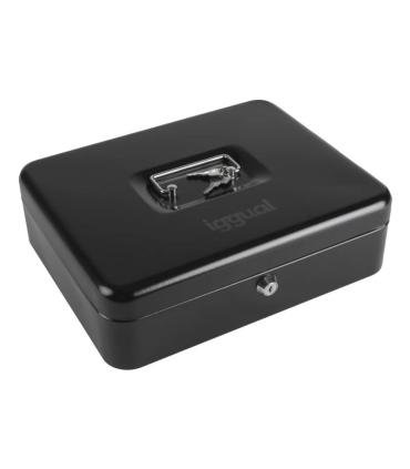Iggual Caja Efectivo 3+8 30x24x9 Cm IRON-TINY