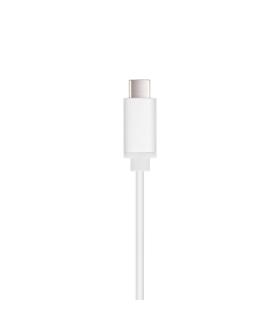 Nanocable - Tarjeta De Red Ethernet Gigabit 10 100 1000 - Conexin USB-C M A RJ45 H - 15CM - Blanco