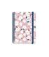 AGENDA ESCOLAR 2025-2026 TAMAO A5 TAPA CARTON FORRADO DA PGINA PRIME CAMOMILLE DOHE 52043