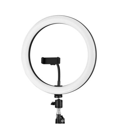 Iggual Anillo   Aro De Luz LED Dimetro 10" 26 Cm