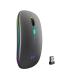 EWENT Ratn Inalmbrico Recarg. Dual  BT WIFI, RGB