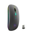EWENT Ratn Inalmbrico Recarg. Dual  BT/WIFI, RGB
