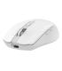 Coolbox Gaming Ratn  W01 1600DPI Inalmbrico Blan