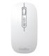 Coolbox Ratn W02-IA Inalmbrico RF+BT Gris