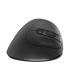EWENT Raton Ergonomico Inalambrico 2400Dpi