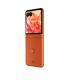 SMARTPHONE MOTOROLA MOTO RAZR 50 8G 256GB ARABESQUE