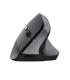 Ratn Ergonmico Inalmbrico Trust TM-270  Batera Recargable  Hasta 2400 DPI