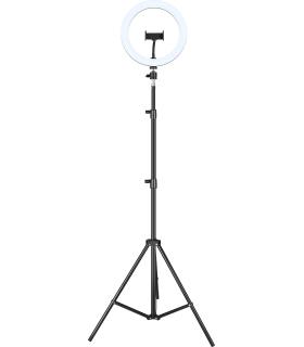 iggual Kit Anillo luz LED 10" + Trípode 200 cm