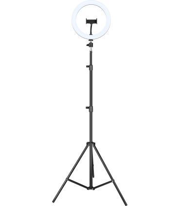 iggual Kit Anillo luz LED 10" + Trípode 200 cm