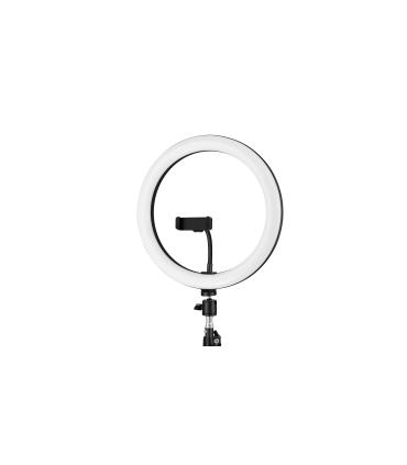iggual Kit Anillo luz LED 10" + Trípode 200 cm