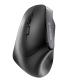 CHERRY MW 4500 ratón Oficina Izquierda RF inalámbrico Óptico 1200 DPI