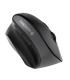 CHERRY MW 4500 ratón Oficina Izquierda RF inalámbrico Óptico 1200 DPI