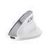 Ratn Ergonmico Inalmbrico Trust Bayo II  Batera Recargable  Hasta 2400 DPI  Blanco