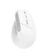 Ratn Ergonmico Inalmbrico Trust Bayo II  Batera Recargable  Hasta 2400 DPI  Blanco