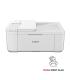 Canon Multifuncin Pixma TR4751I