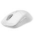 MSI Versa 300 Wireless Ratn Juego Mano Derecha RF Wireless + Bluetooth + USB Type-C Ptico 8000 DPI