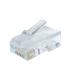 Gembird Conector RJ45 Cat.6 UTP Slidos (50 Uds.)