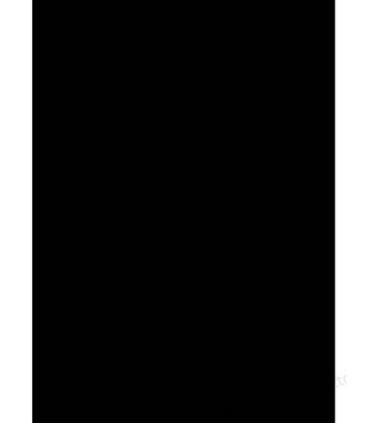 CAJA DE 100 CUBIERTAS POLIPROPILENO FORMATO A4 DE 300 MICRAS COLOR NEGRO GBC IB386831