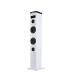 Torre De Sonido Con Bluetooth NGS SKY CHARM  50W  2.0  Blanca