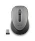 RATON NGS INALAMBRICO DEW GRAY NANO USB