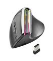 RATON NGS INALAMBRICO EVOKARMA VERTICAL RECARGABLE RGB BT