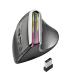 RATON NGS INALAMBRICO EVOKARMA VERTICAL RECARGABLE RGB BT