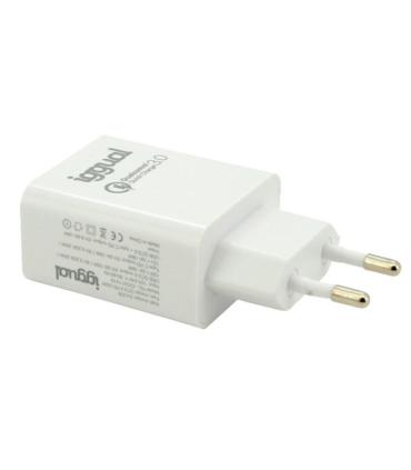 Iggual Cargador Doble USB QC3.0 + Tipo C PD 20W