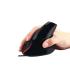 RATON EWENT EW3156 ERGONOMICO OPTICO 1000 DPI NEGRO USB
