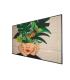MONITOR PHILIPS 75" D-LINE   PANEL IPS 8BIT D-LED 16 9   3840X2160 500CD M2   8 MS   PIXEL PITCH 0.4296 X 0.4296   VESA 600X400