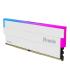 Biwin DW100 DDR5 6000 64GB CL30 (16*2) White Hynix