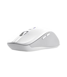 Ratn Ergonmico Inalmbrico Trust Ferro  Hasta 3200 DPI  Blanco