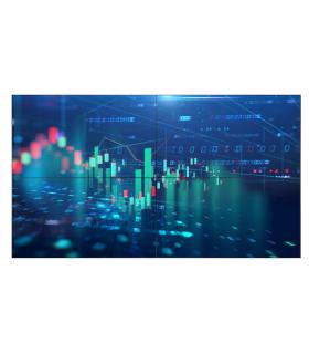 MONITOR PHILIPS 65" VIDEOWALL   PANEL IPS 10BIT D-LED 16 9   3840X2160 500CD M2   8MS   PIXEL PITCH 0.372X0.372   VESA 400X400 