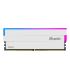 MEMORIA KIT DDR5  32GB(2X16GB) PC5-44800 6000MHZ BIWIN DW100 RGB CL36 1.35V WHITE