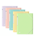 CARPETA DE GOMAS CON SOLAPAS OXFORD URBAN TP A4+ - SURTIDO PASTEL OXFORD 400187619