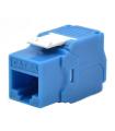 WP Keystone Cat. 6a UTP RJ45/Hembra Azul